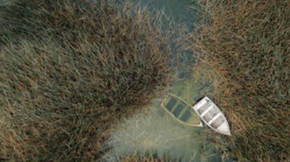 “懂场景”“懂模型”“懂开发”,ai 下半场,研发团队如何突围?