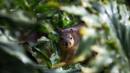 大模型与企业数据该怎样结合?这家大模型中间件创企给出了心得棋牌的解决方案