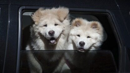 媲美sora?runaway亮相视频生成模型gen-3 alpha,更懂物理世界