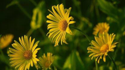 runway 全新 gen-3 视频生成模型获网友盛赞:比 sora 更好