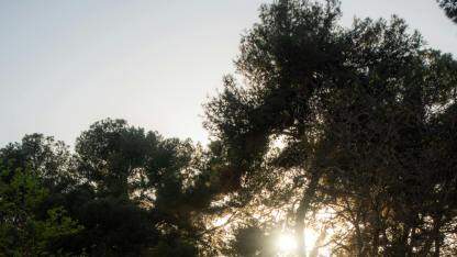 db 大咖对话 | 数据要素与人工智能对我国数据库技术和产业的影响