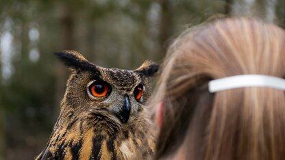 联创用chatgpt写的一行代码让公司损失上万美元!网友:老板自己写的,找不到人背锅了