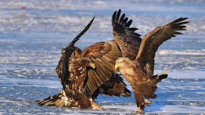 ilya 官宣新公司,主打“恶意”竞争!先拉不缺钱的技术大佬入伙,不盈利也要赢过 openai !