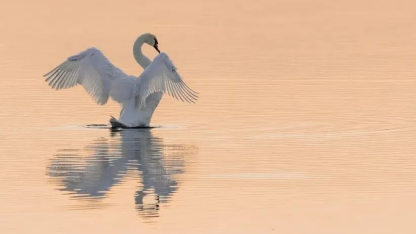 小红书招聘年龄底线35岁,猎头:超32岁基本没戏;小米汽车员工实发工资曝光,年入百万不是梦;极目银河老板欠62亿跑路 |ai周报